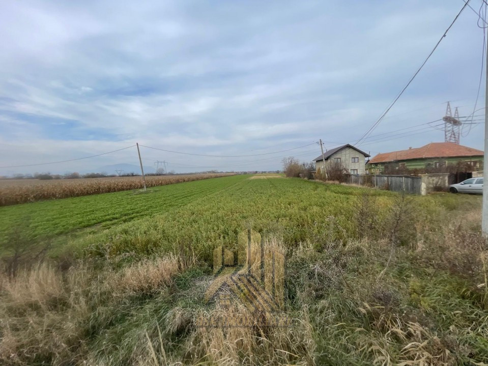 Vanzare-Teren-intravilan-6250mp-Calea-Feldioarei-Stupini-Brasov