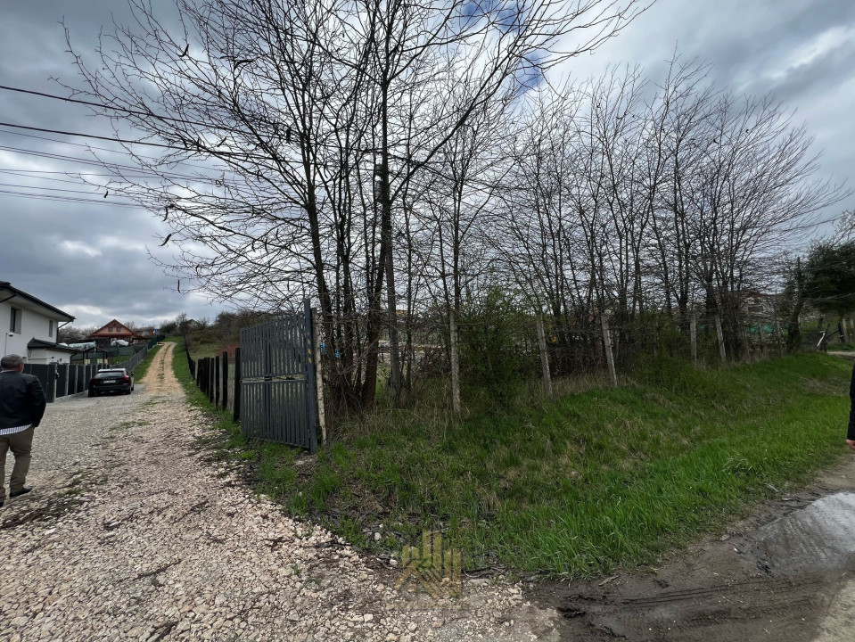 Parcele de teren în Bod, diferite suprafețe – preț avantajos
